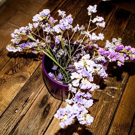 Torre Valbiancara Casa rural Montebagnolo